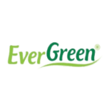 EVERGREEN